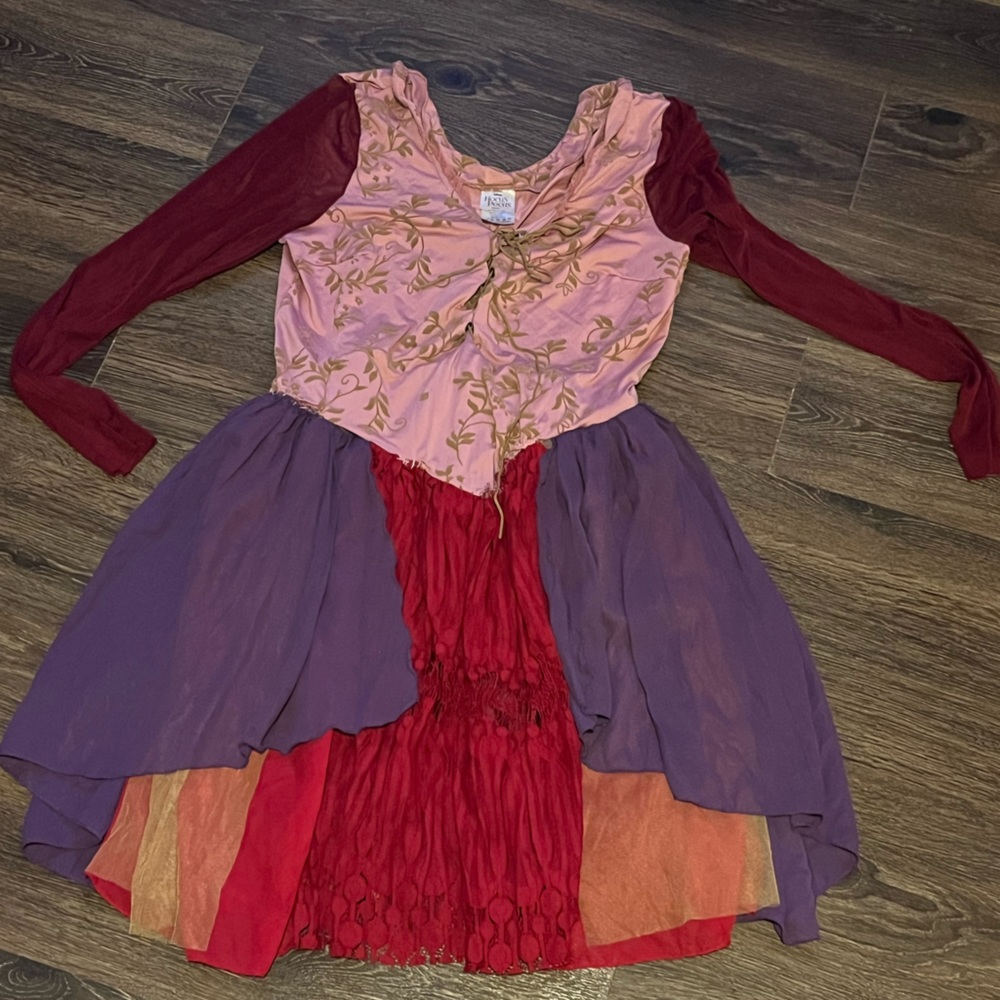 Hocus Pocus Halloween costume size large